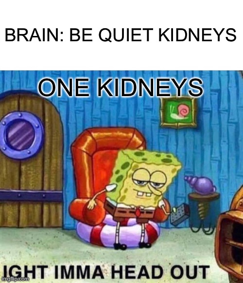 When you have kidney disease on 1 kidney Imgflip