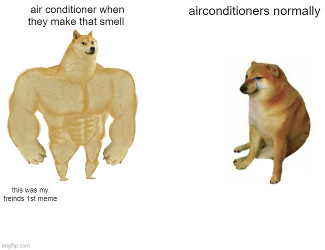 Buff Doge vs. Cheems Meme Imgflip
