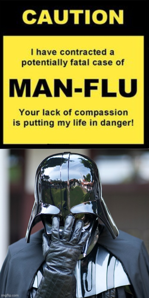 Manflu sign Imgflip