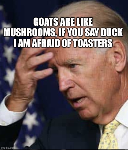 Image tagged in confused joe biden Imgflip