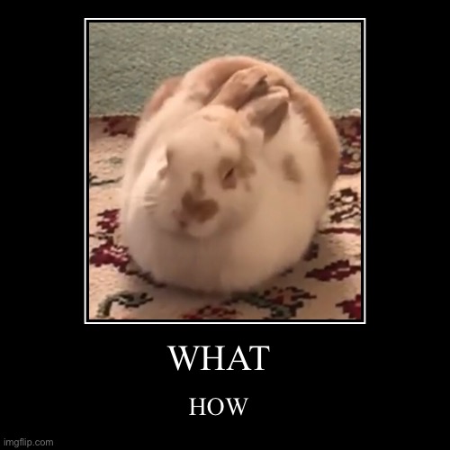 loaf Memes & GIFs Imgflip
