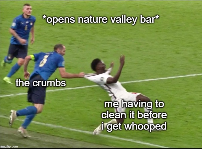 nature valley bars be like Imgflip