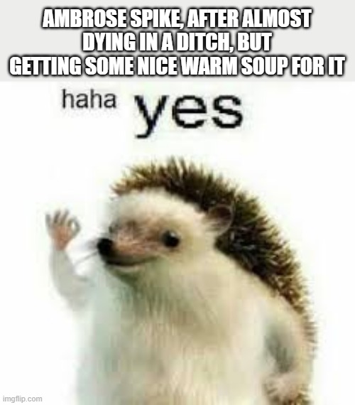 Redwall Memes & GIFs Imgflip