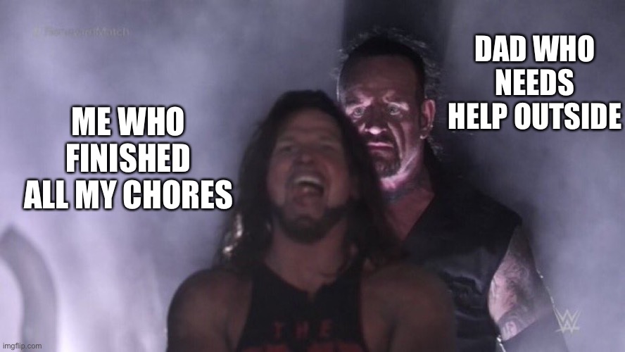 AJ Styles & Undertaker Memes Imgflip