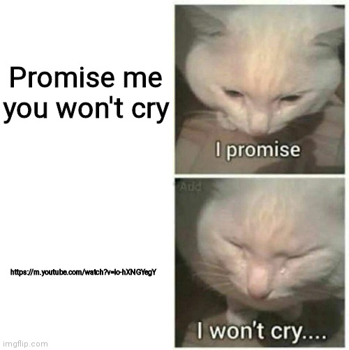 I promise I won't cry Imgflip