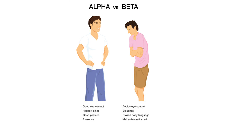 Alpha vs beta Memes Imgflip