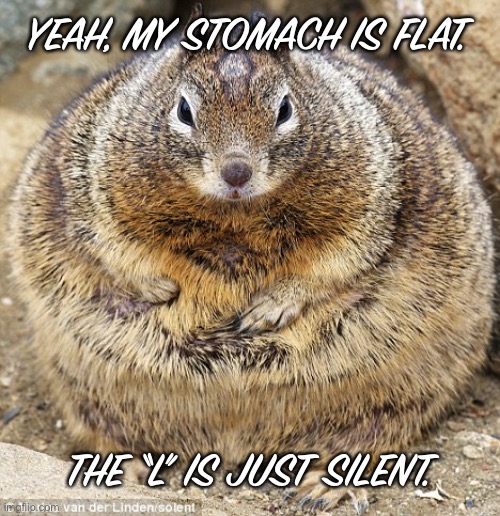 He’s a bowling ball Imgflip