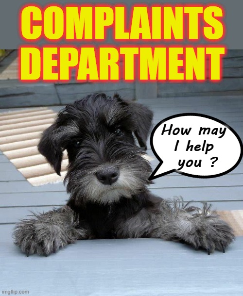 Complaints Department Imgflip