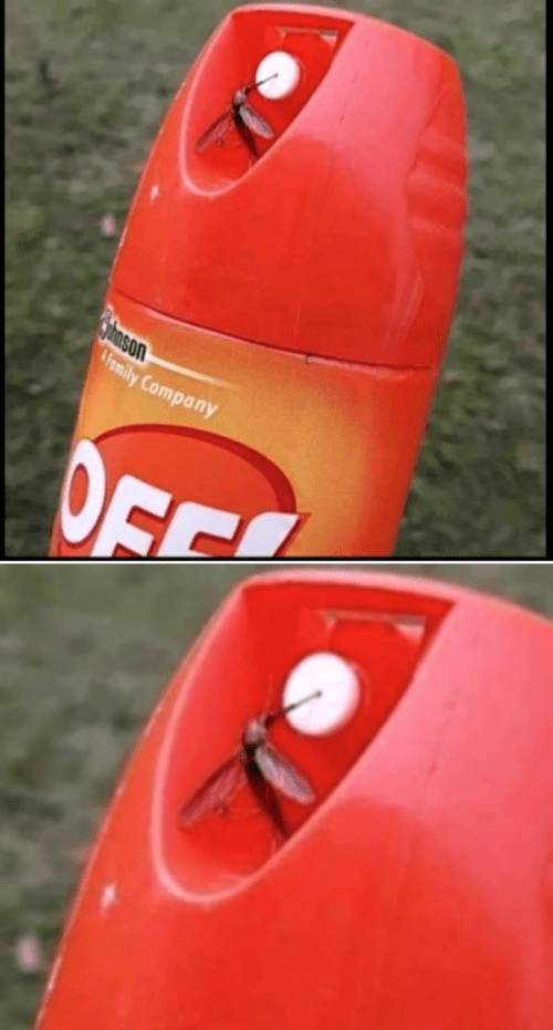 Mosquito drinking bug spray Blank Template Imgflip