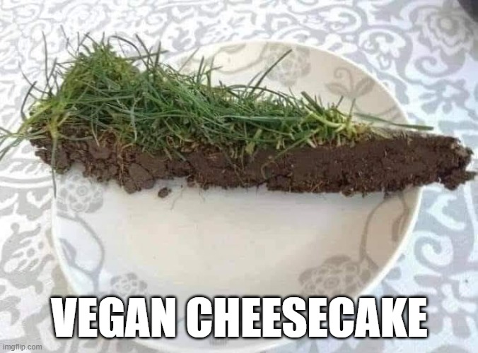Vegan Cheesecake Imgflip