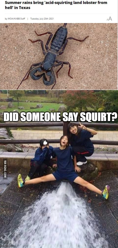 No Squirt Imgflip