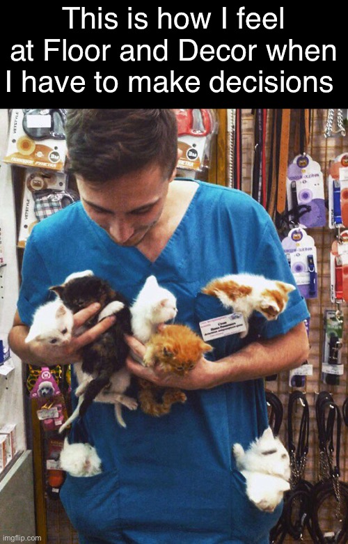 Home Renovation Imgflip