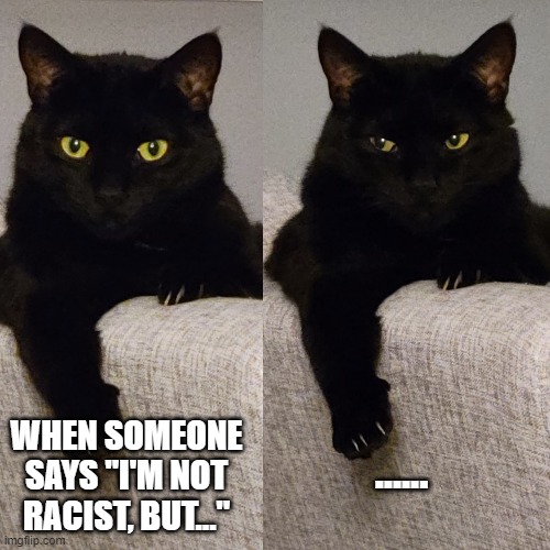 Im Not Racist Cat Imgflip