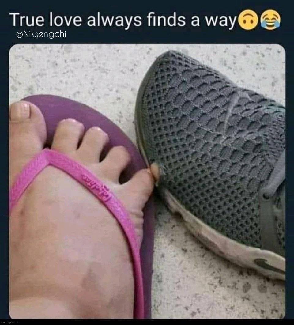 Wholesome_memes feet Memes & GIFs Imgflip