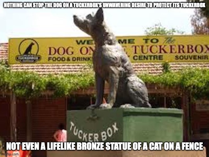 Dog on a Tuckerbox Imgflip