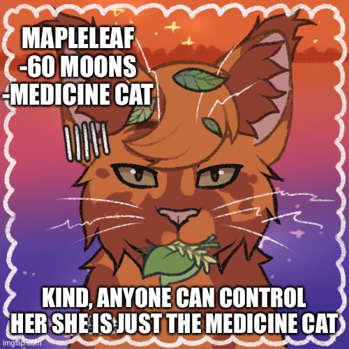 We needed a medicine cat Imgflip