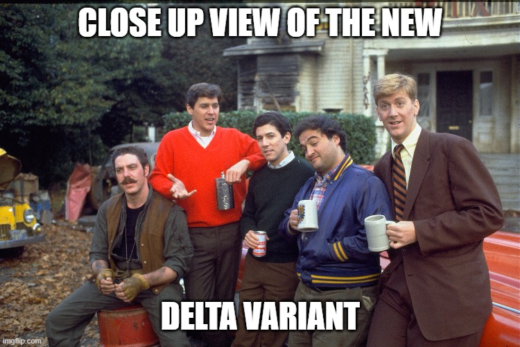 Image tagged in animal house,delta house,delta variant,delta Imgflip