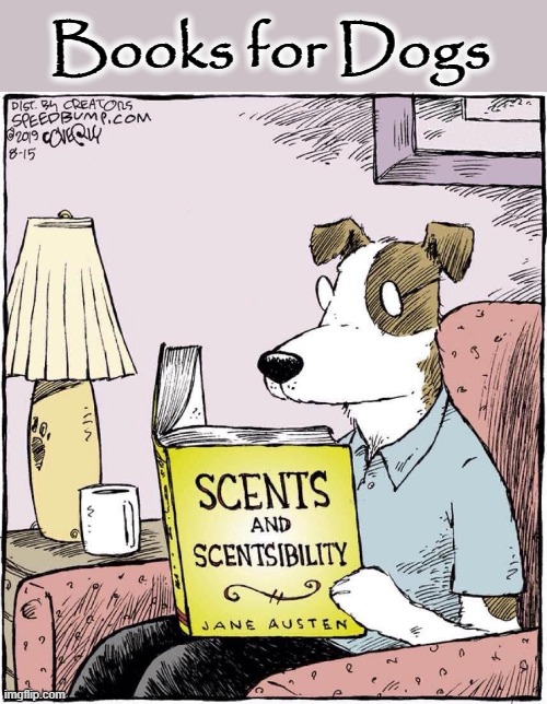 Books 4 Dogs Imgflip