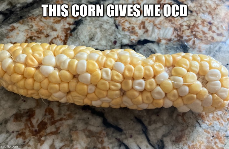 Corn Imgflip