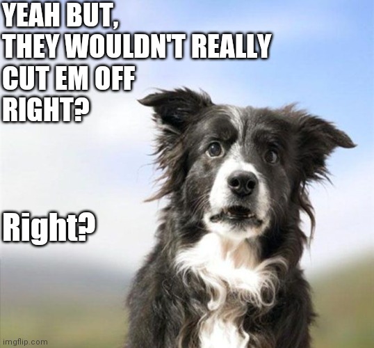 It's a ruff life Imgflip