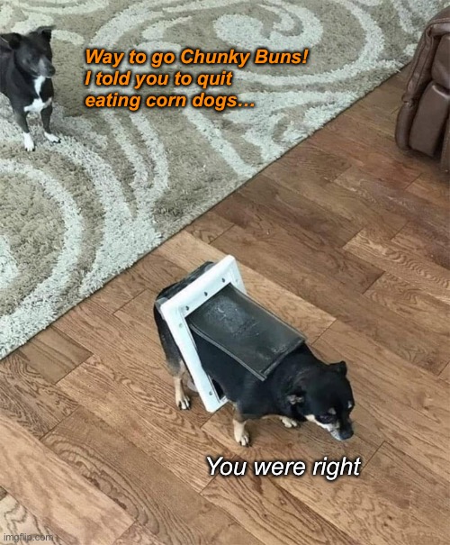 Awww! Little Cutie Bootie! Imgflip