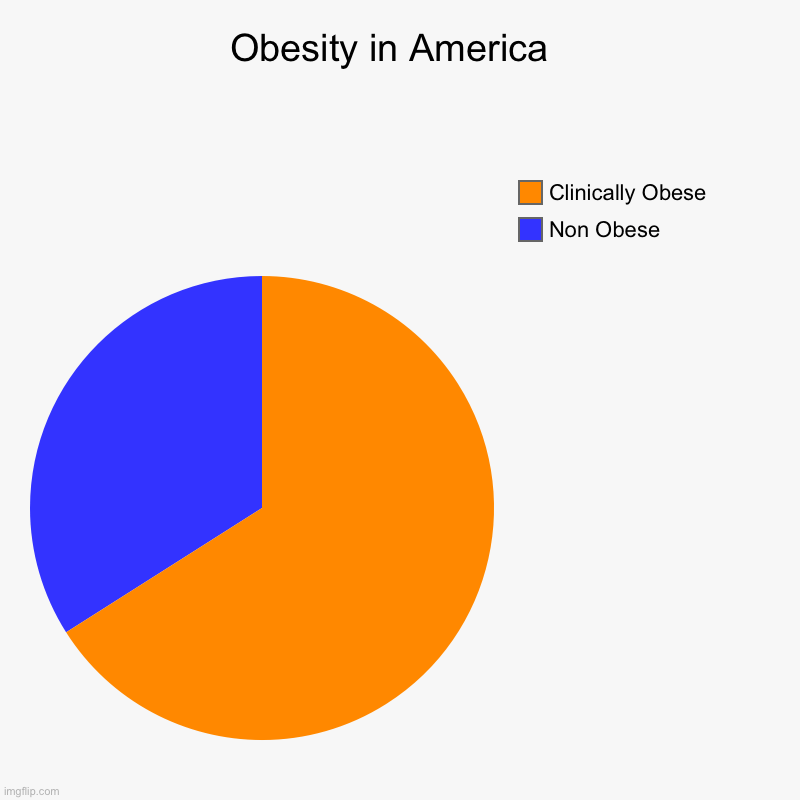 Obesity in America Imgflip