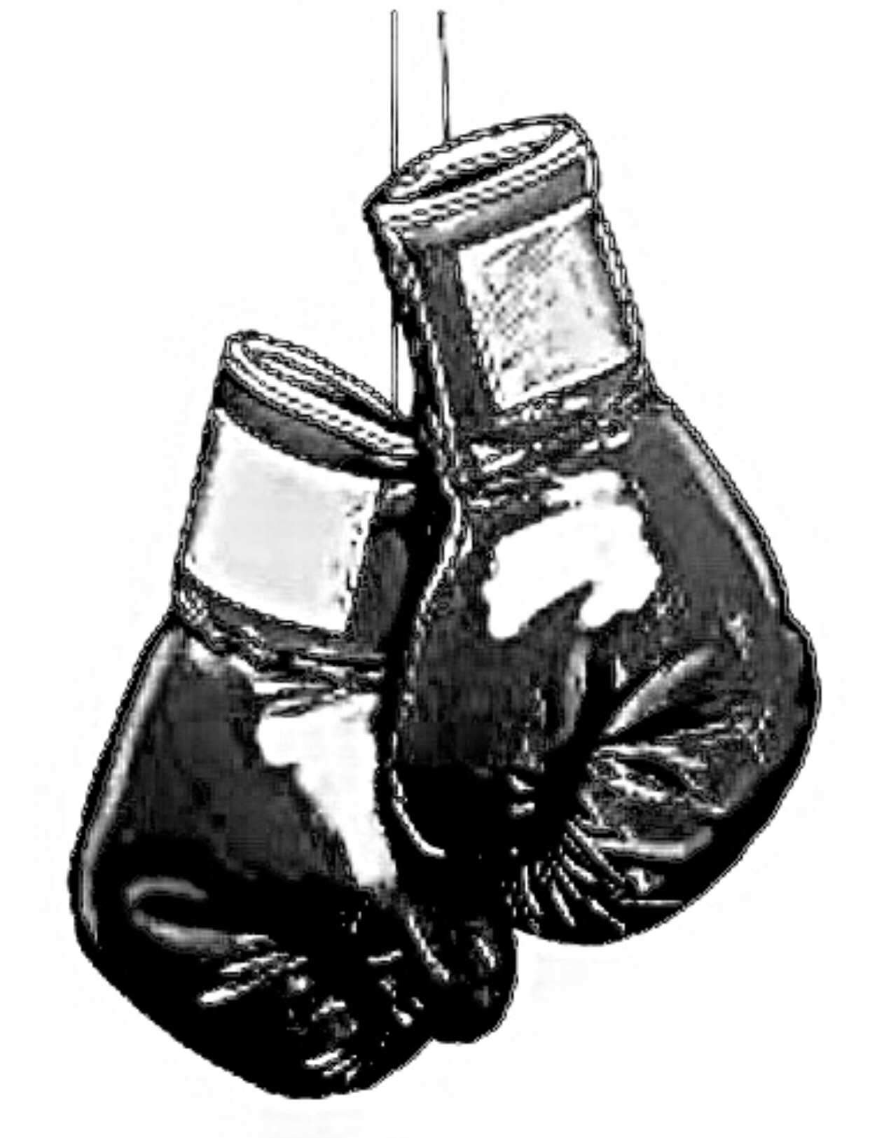 Boxing Gloves Memes Imgflip