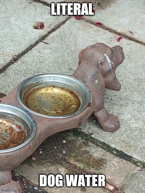 dog Memes & GIFs Imgflip