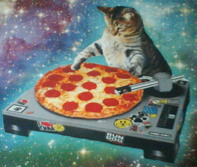 DJ Pizza Cat Memes Imgflip