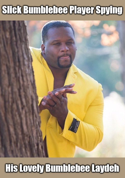 Love is in the Hive Imgflip