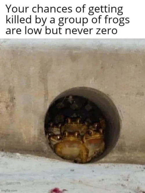 Image tagged in frogs,meme Imgflip