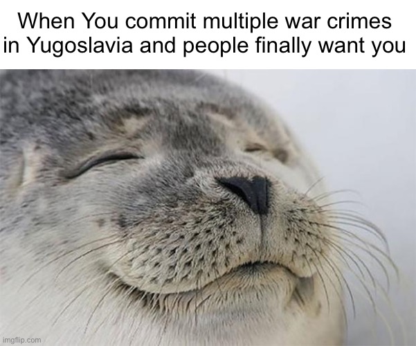 Satisfied Seal Meme Imgflip