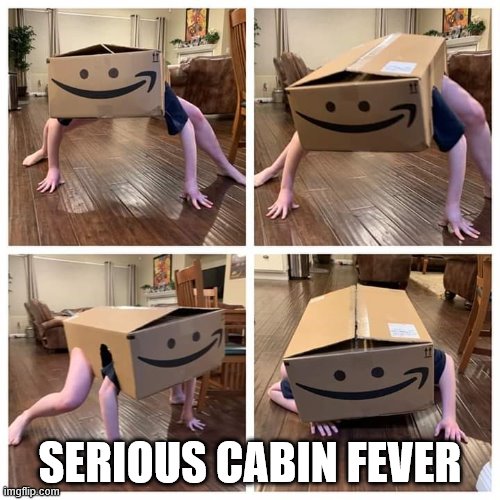 Cabin fever Imgflip