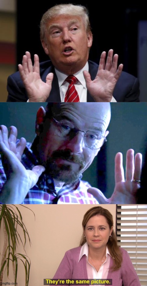 Image tagged in trump hands up,walter you got me,memes,they're the same