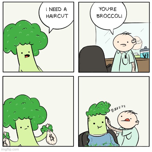The Broccoli haircut Imgflip