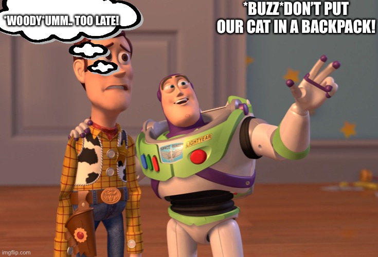 Cats and backpacks. Imgflip