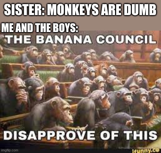 monkey Memes & GIFs Imgflip