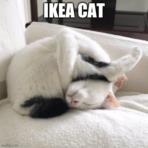 Idea Cat Imgflip