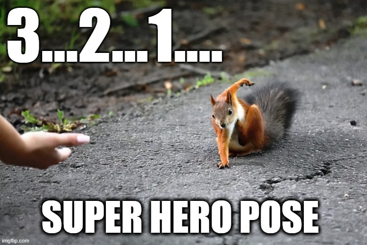 Image tagged in superheroes,squirrel Imgflip