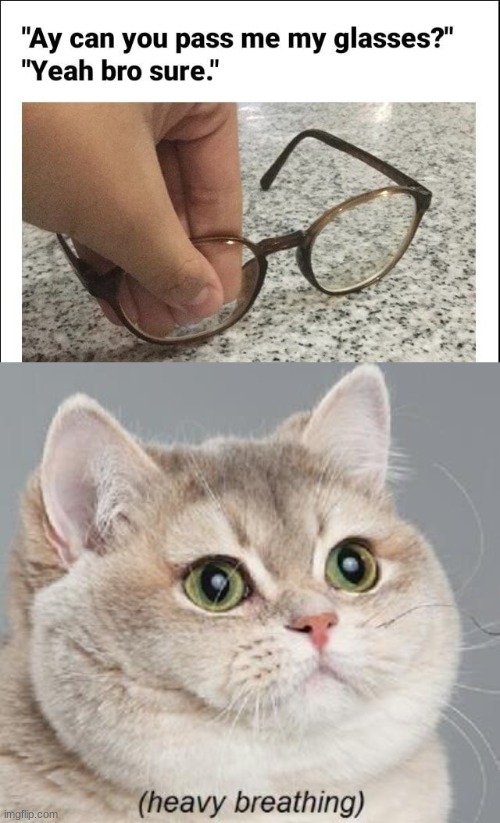 Image tagged in memes,heavy breathing cat Imgflip
