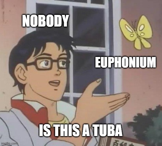 Is this a tuba Imgflip