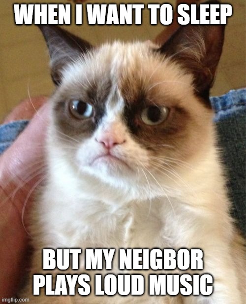 Grumpy Cat Meme Imgflip