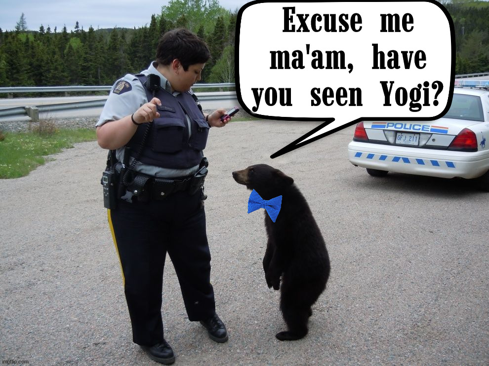 Looking for a picnic basket too? Imgflip