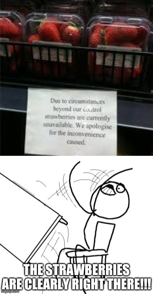 Image tagged in memes,table flip guy Imgflip