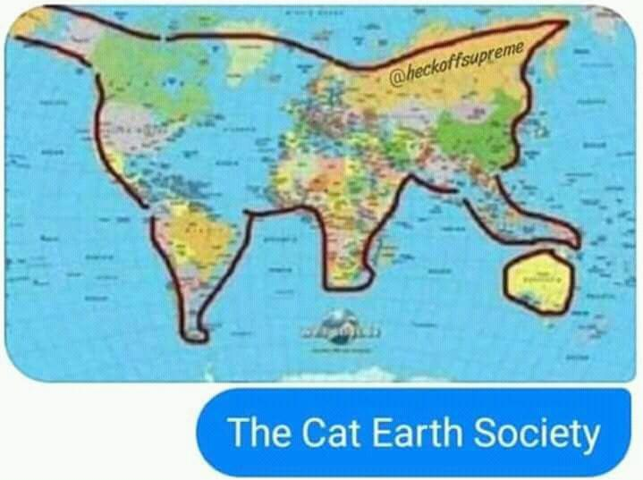 the cat earth society Memes Imgflip