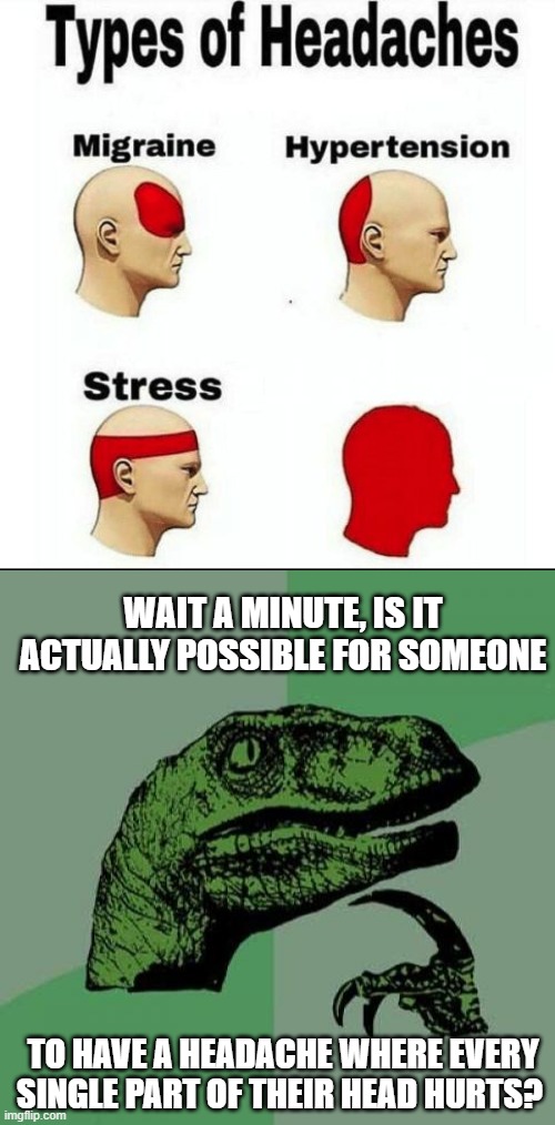 Image tagged in types of headaches meme,memes,philosoraptor Imgflip
