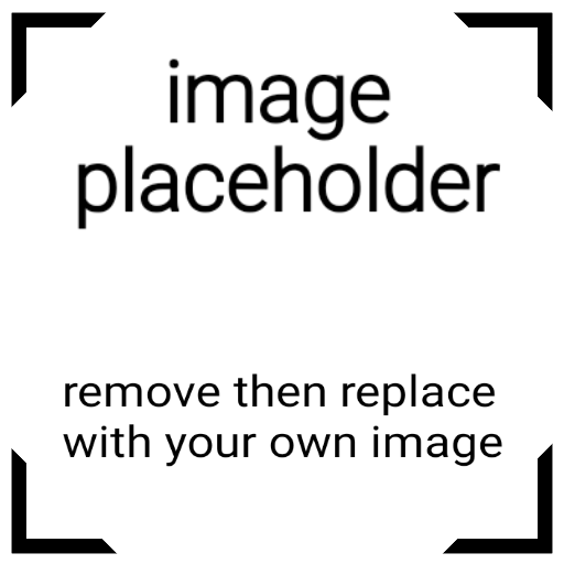 image placeholder Blank Template Imgflip