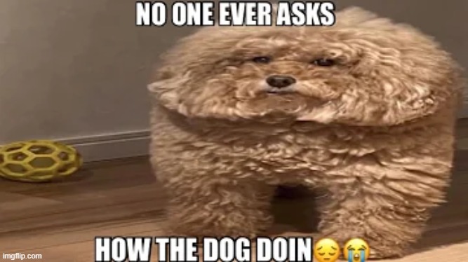 Imgflip