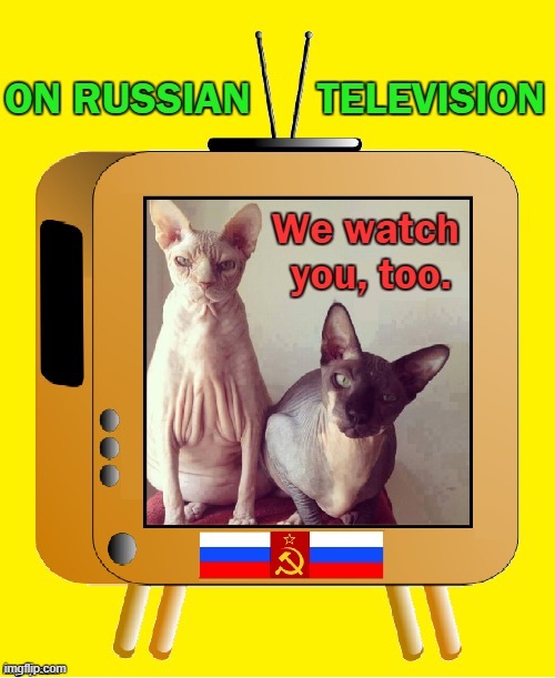 Russia Cats have their own TV Stations... for a reason Imgflip