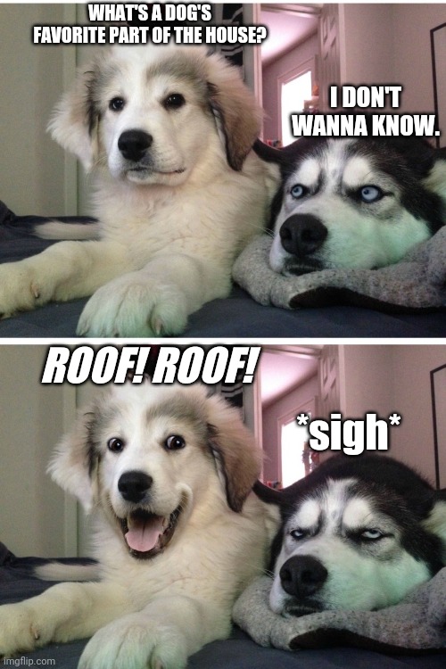 Bad pun dogs Imgflip